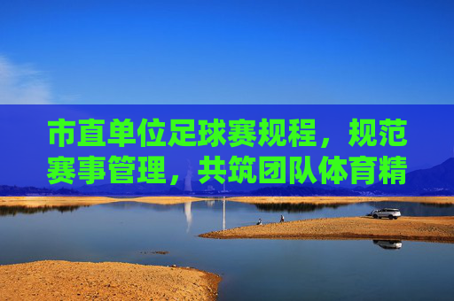 市直单位足球赛规程,规范赛事管理,共筑团队体育精神