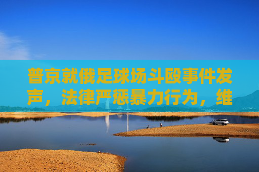 普京就俄足球场斗殴事件发声，法律严惩暴力行为，维护体育公平与国家尊严
