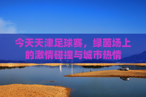 今天天津足球赛,绿茵场上的激情碰撞与城市热情