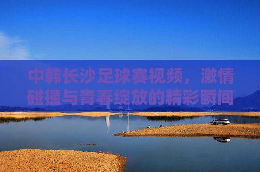 中韩长沙足球赛视频,激情碰撞与青春绽放的精彩瞬间