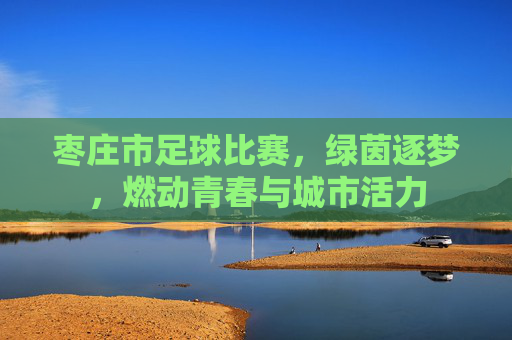 枣庄市足球比赛,绿茵逐梦,燃动青春与城市活力
