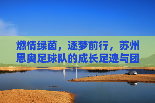 燃情绿茵，逐梦前行，苏州思奥足球队的成长足迹与团队风采，燃情绿茵，逐梦前行，苏州思奥足球队的成长足迹与团队风采