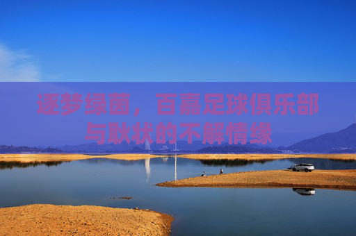 逐梦绿茵,百嘉足球俱乐部与耿状的不解情缘