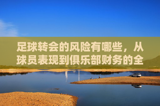 足球转会的风险有哪些,从球员表现到俱乐部财务的全方位审视,足球转会风险全解析,从球员表现到俱乐部财务的全方位审视