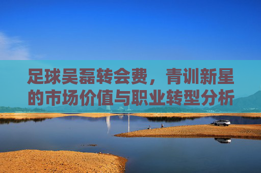 足球吴磊转会费,青训新星的市场价值与职业转型分析,足球吴磊转会费,青训新星市场价值与职业转型分析
