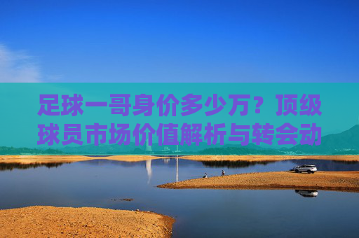 足球一哥身价多少万？顶级球员市场价值解析与转会动态