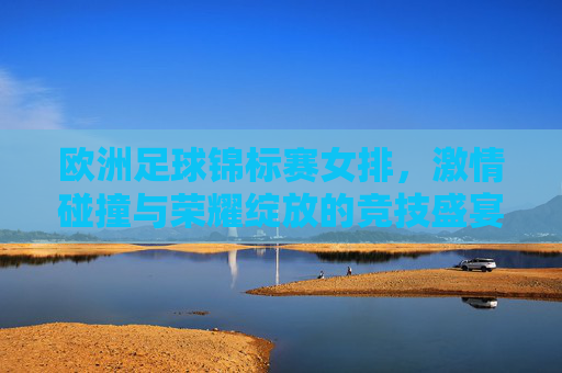 欧洲足球锦标赛女排，激情碰撞与荣耀绽放的竞技盛宴