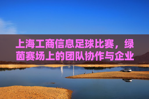 上海工商信息足球比赛,绿茵赛场上的团队协作与企业活力展现
