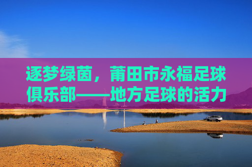 逐梦绿茵,莆田市永福足球俱乐部——地方足球的活力源泉与希望之光