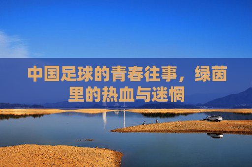中国足球的青春往事，绿茵里的热血与迷惘