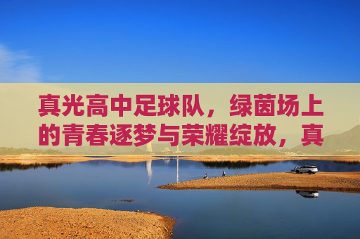 真光高中足球队,绿茵场上的青春逐梦与荣耀绽放,真光高中足球队,绿茵场上的青春逐梦与荣耀绽放