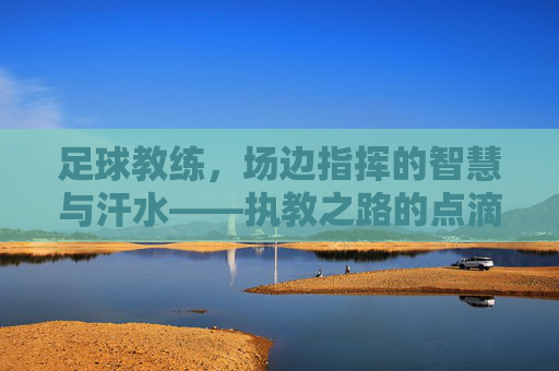 足球教练,场边指挥的智慧与汗水——执教之路的点滴感悟(普通话版)足球教练,场边指挥的智慧与汗水——执教之路的点滴感悟(普通话版)