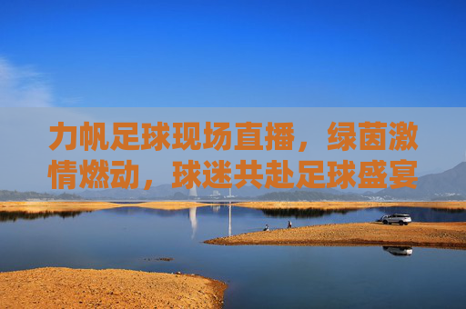 力帆足球现场直播，绿茵激情燃动，球迷共赴足球盛宴