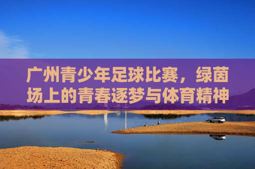 广州青少年足球比赛,绿茵场上的青春逐梦与体育精神的传承