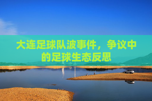 大连足球队波事件,争议中的足球生态反思