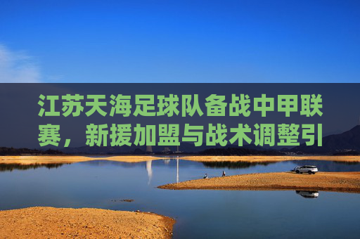 江苏天海足球队备战中甲联赛,新援加盟与战术调整引关注