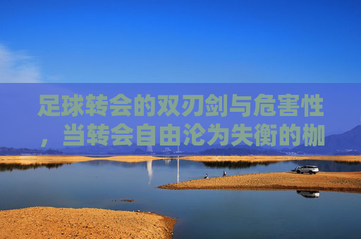 足球转会的双刃剑与危害性,当转会自由沦为失衡的枷锁