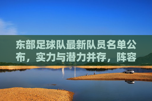 东部足球队最新队员名单公布,实力与潜力并存,阵容深度引关注