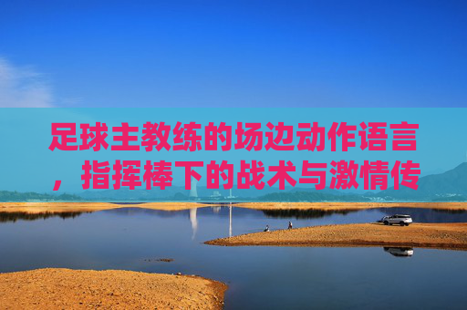 足球主教练的场边动作语言,指挥棒下的战术与激情传递