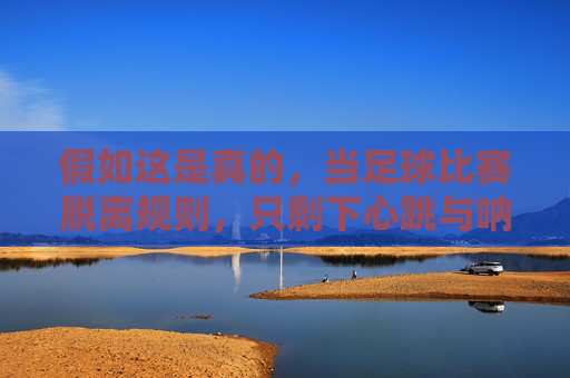 假如这是真的，当足球比赛脱离规则，只剩下心跳与呐喊