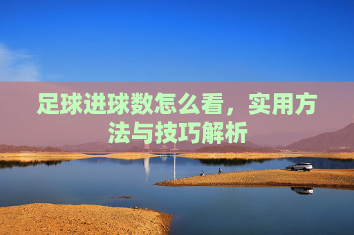 足球进球数怎么看,实用方法与技巧解析