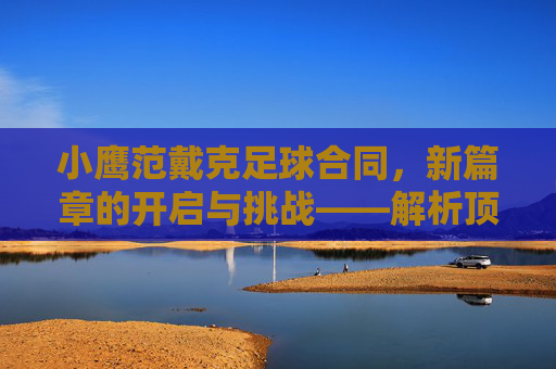 小鹰范戴克足球合同,新篇章的开启与挑战——解析顶级后卫的续约与未来规划