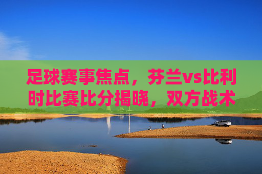 足球赛事焦点,芬兰vs比利时比赛比分揭晓,双方战术与进球分析