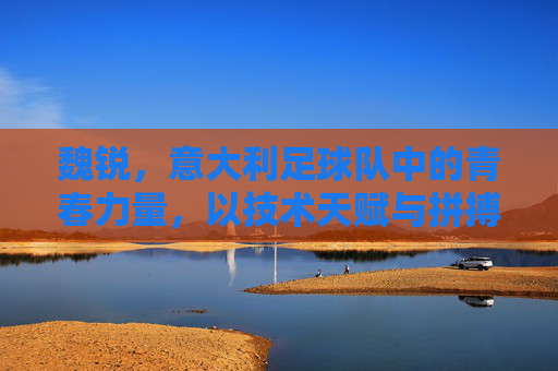 魏锐,意大利足球队中的青春力量,以技术天赋与拼搏精神闪耀赛场