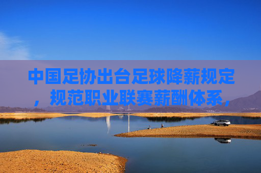 中国足协出台足球降薪规定,规范职业联赛薪酬体系,推动中国足球职业化转型