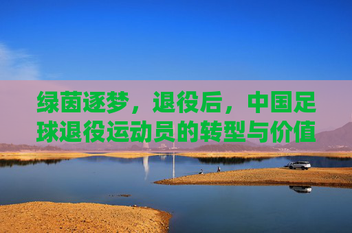 绿茵逐梦,退役后,中国足球退役运动员的转型与价值探索