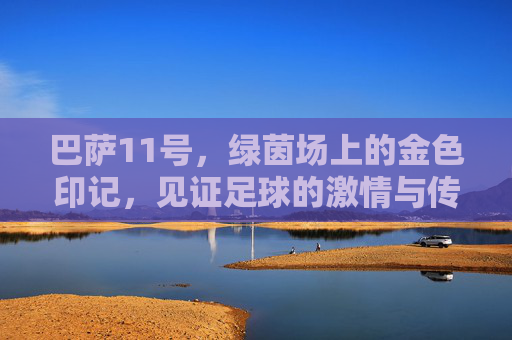 巴萨11号，绿茵场上的金色印记，见证足球的激情与传奇，巴萨11号，绿茵场上的金色印记，见证足球的激情与传奇