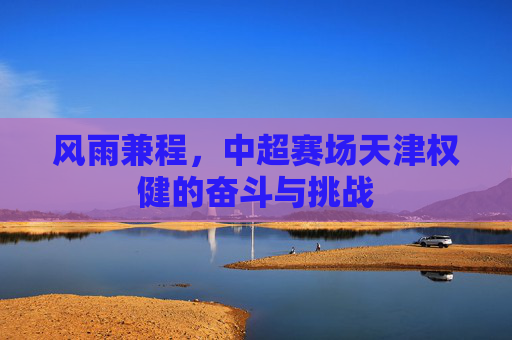 风雨兼程,中超赛场天津权健的奋斗与挑战