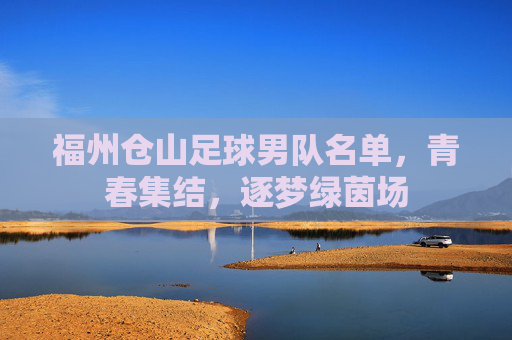 福州仓山足球男队名单,青春集结,逐梦绿茵场