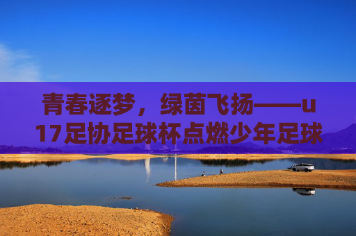 青春逐梦,绿茵飞扬——u17足协足球杯点燃少年足球热情