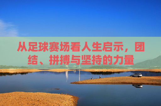 从足球赛场看人生启示,团结、拼搏与坚持的力量