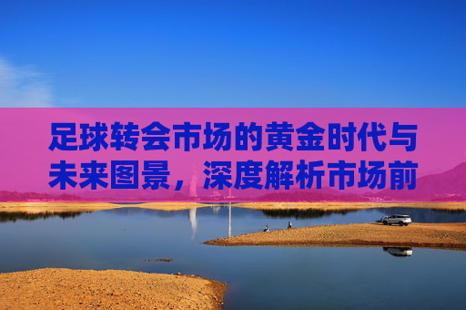 足球转会市场的黄金时代与未来图景，深度解析市场前景与机遇，足球转会市场的黄金时代与未来图景，深度解析市场前景与机遇