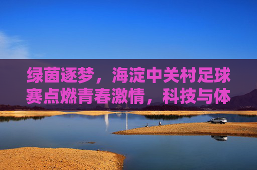 绿茵逐梦,海淀中关村足球赛点燃青春激情,科技与体育的完美融合