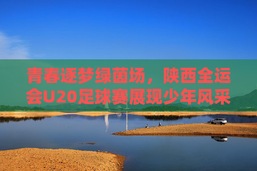 青春逐梦绿茵场,陕西全运会U20足球赛展现少年风采与竞技激情