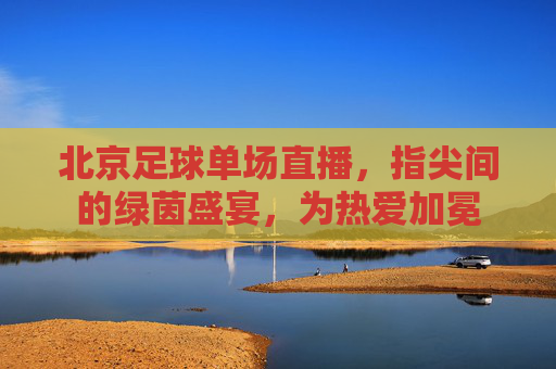 北京足球单场直播，指尖间的绿茵盛宴，为热爱加冕