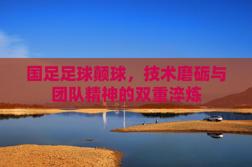 国足足球颠球，技术磨砺与团队精神的双重淬炼