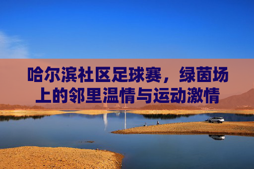哈尔滨社区足球赛,绿茵场上的邻里温情与运动激情