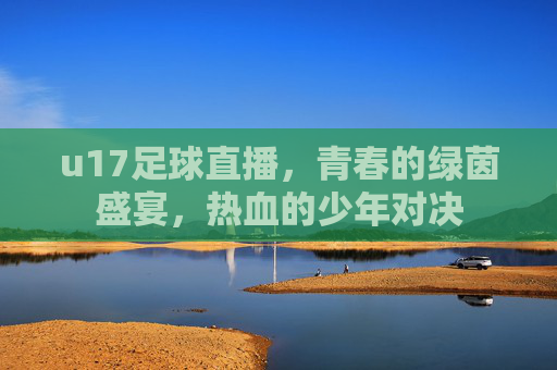 u17足球直播，青春的绿茵盛宴，热血的少年对决