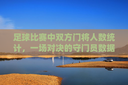 足球比赛中双方门将人数统计,一场对决的守门员数据解析