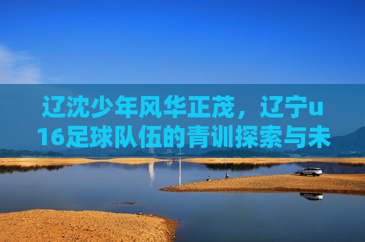 辽沈少年风华正茂,辽宁u16足球队伍的青训探索与未来展望