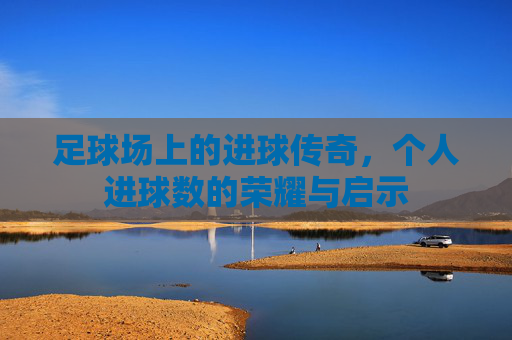 足球场上的进球传奇,个人进球数的荣耀与启示