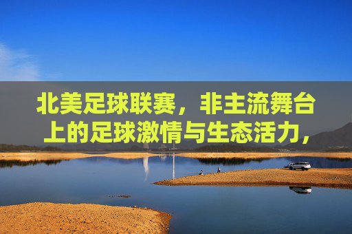 北美足球联赛，非主流舞台上的足球激情与生态活力，北美足球联赛，非主流舞台上的足球激情与生态活力