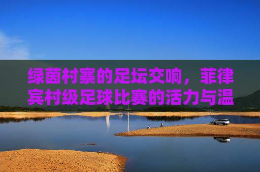 绿茵村寨的足坛交响,菲律宾村级足球比赛的活力与温度