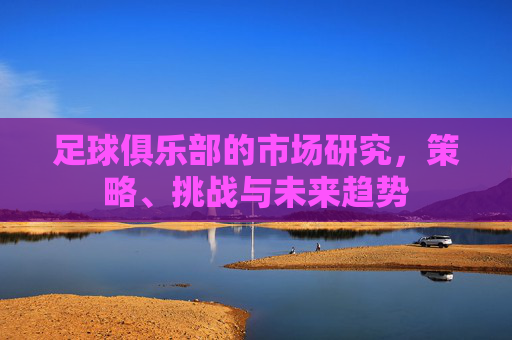 足球俱乐部的市场研究，策略、挑战与未来趋势