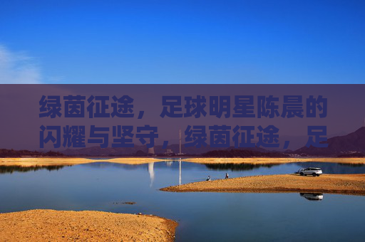 绿茵征途，足球明星陈晨的闪耀与坚守，绿茵征途，足球明星陈晨的闪耀与坚守