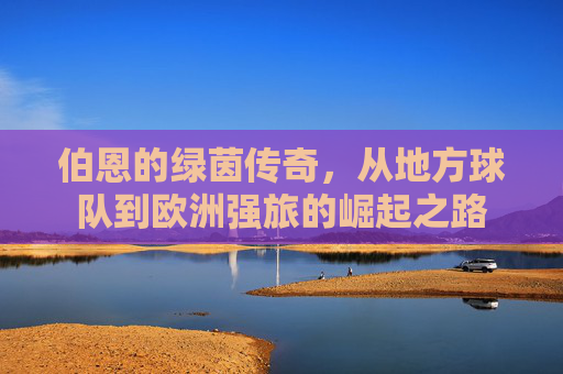 伯恩的绿茵传奇,从地方球队到欧洲强旅的崛起之路